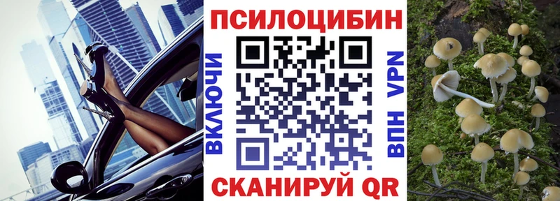 Купить где Называевск Псилоцибиновые грибы Psilocybe